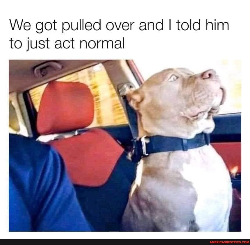 We got pulled over and I told him to just act normal