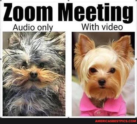 Audio ont With video