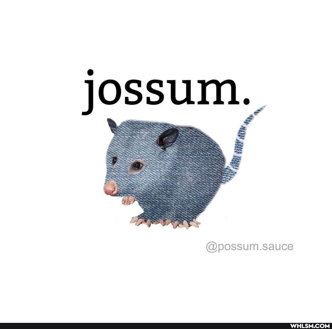 LÁ
(GDpossum.sauce