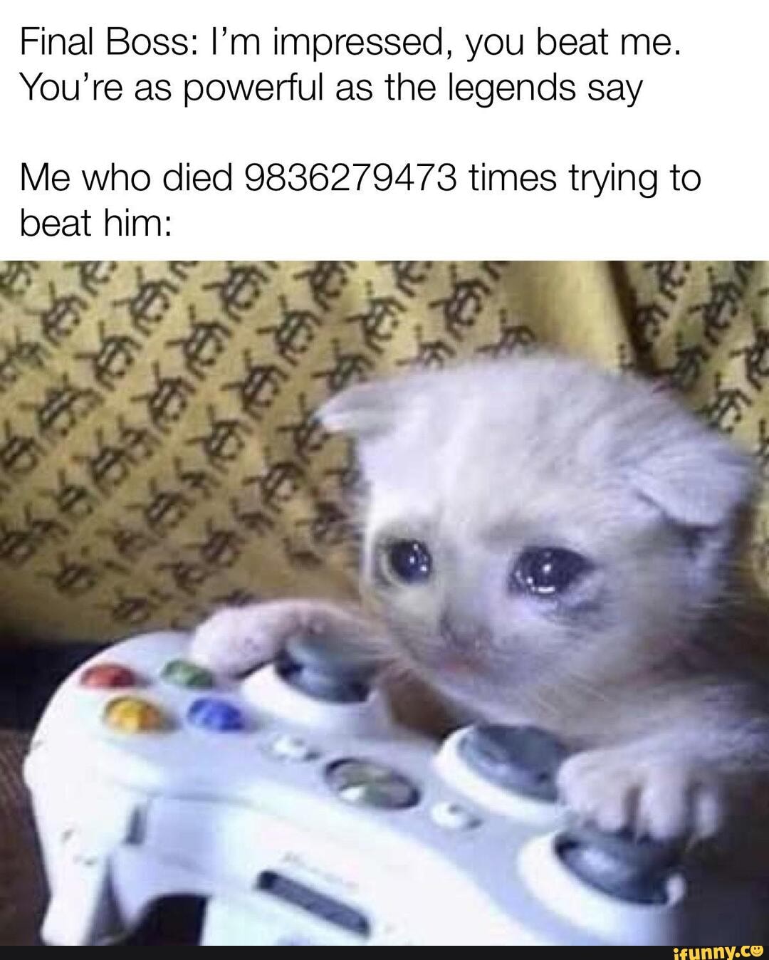 Final Boss: I'm impressed, you beat me.
You're as powerful as the legends say
Me who died 9836279473 times trying to beat him: