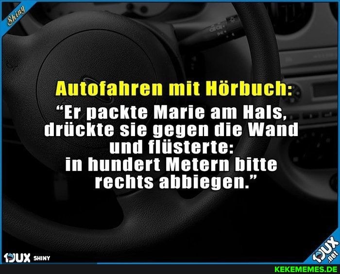 Anfofahren mit Hörhnen:
"Er nackte Marie am Hals, drückte sie gegen die Wand und flüsterte: in hundert Metern bitte rechts abbiegen."
FJUX suuny