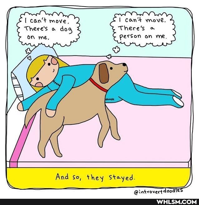BS can't move, Can' move.
There's & dog Theres
OR me, Person on me.
And so, they Stayed.