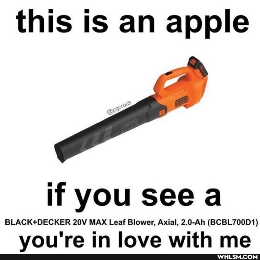 this is an apple
if you see a
MAX Leaf Blower, Axial, 2.0-Ah (BCBL700D1)
vou're in love with me