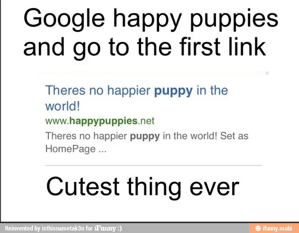 Google Happy Puppies And Go To The First Link Theres No Happier Puppy In The World Www Happypuppies Net Theres No Happier Puppy In The World Set As Cutest Thing Ever Ifunny