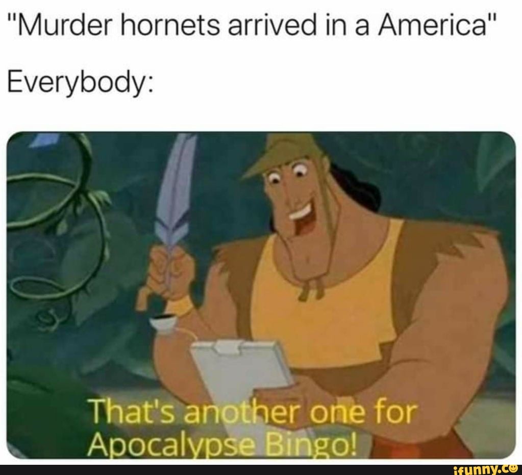 "Murder hornets arrived in a America"
Everybody:
That's an@ther one for