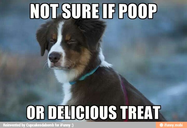o
OR DELICIOUS TREAT