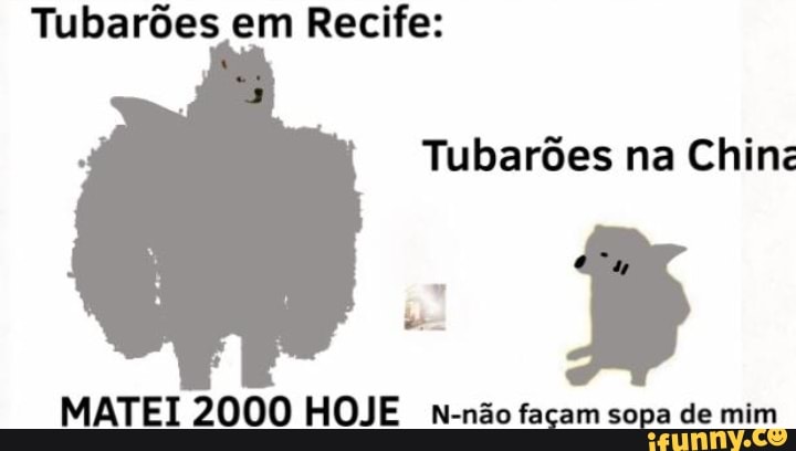 Tubarões em Recife:
Tubarões na Chin:
MATEI 2000 HOJE N-não facam sopa de mim