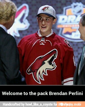 Welcome to the pack Brendan Perlini - Welcome to the pack Brendan Perlini