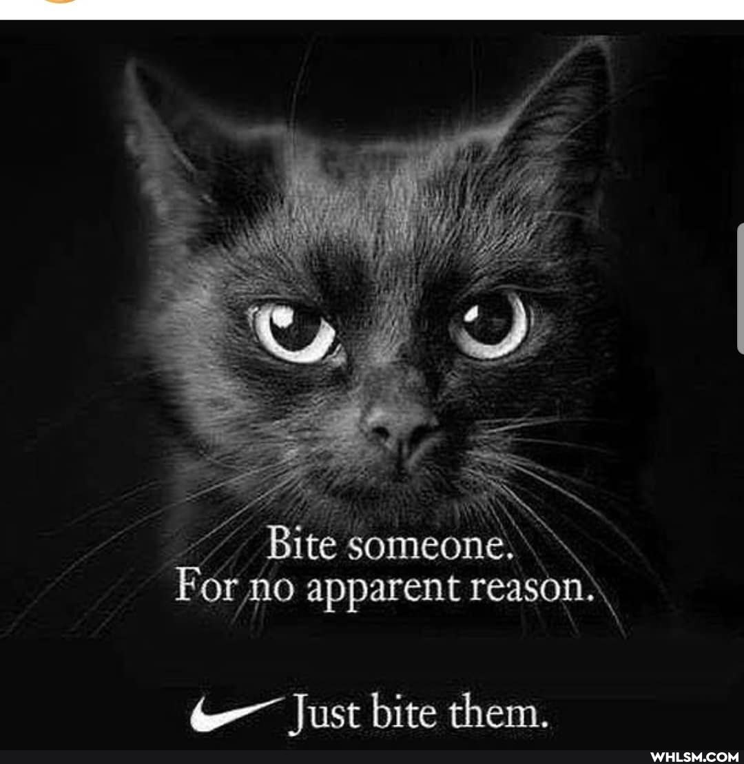 Bite someone.\.
For no apparent reason.
Just bite them.