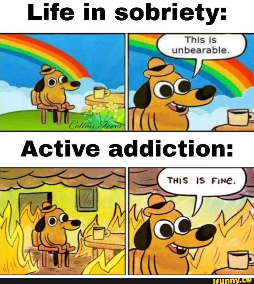 My organs watching me take 800mg of ibuprofen on an empty stomach and