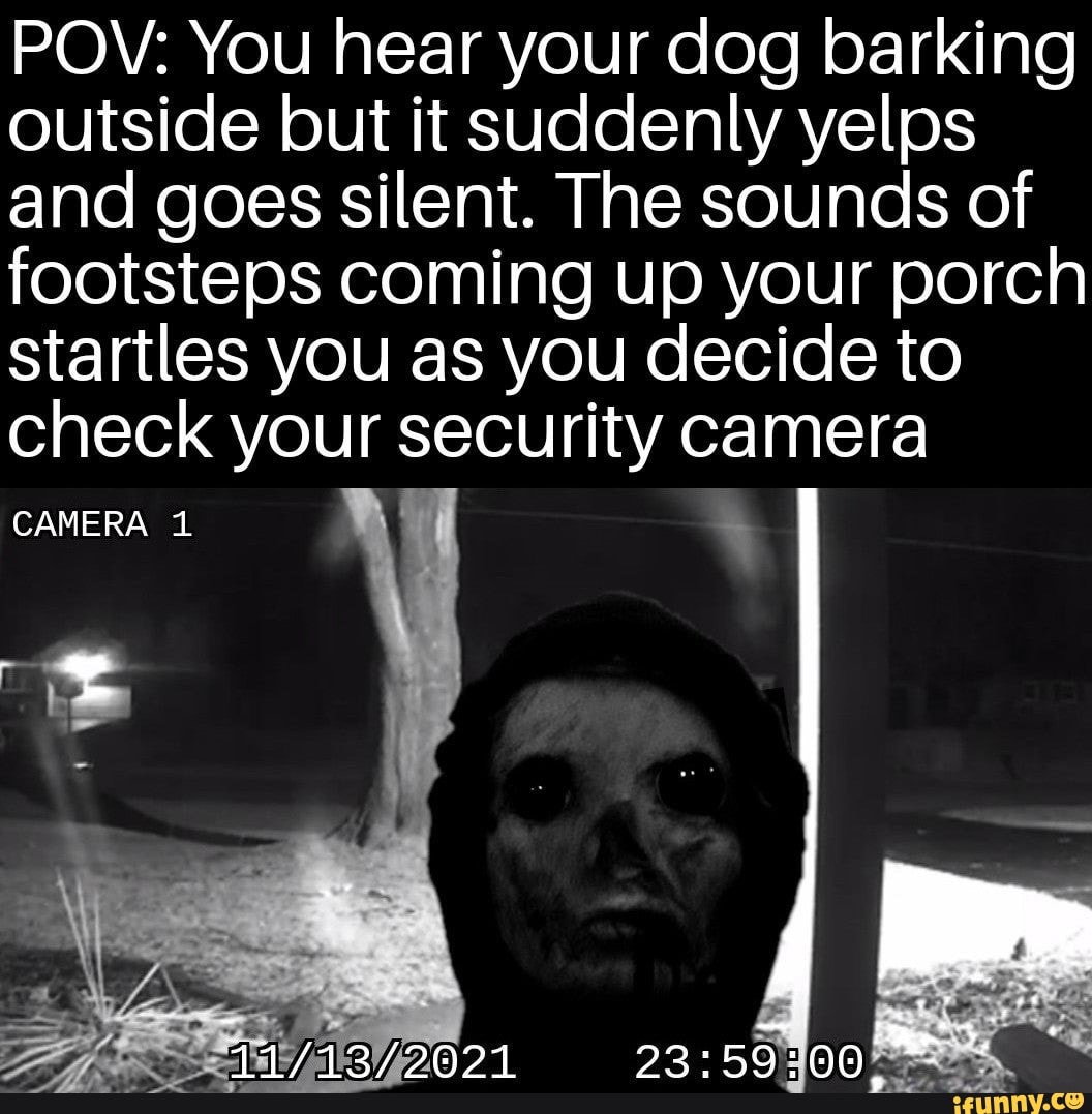 Barking Memes Best Collection Of Funny Barking Pictures On IFunny barking-memes-best-collection-of-funny-barking-pictures-on-ifunny