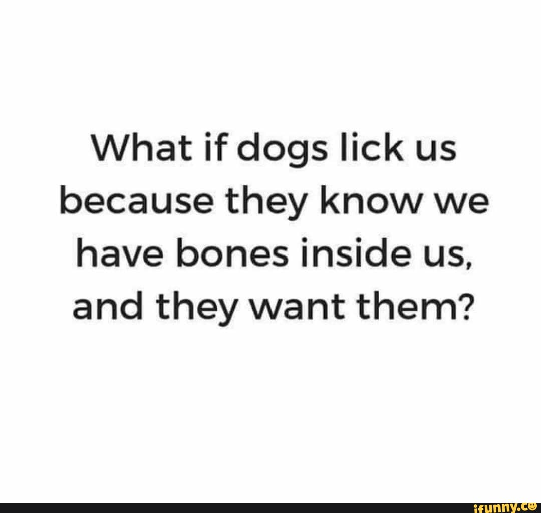 What if dogs lick us because they know we have bones inside us, and