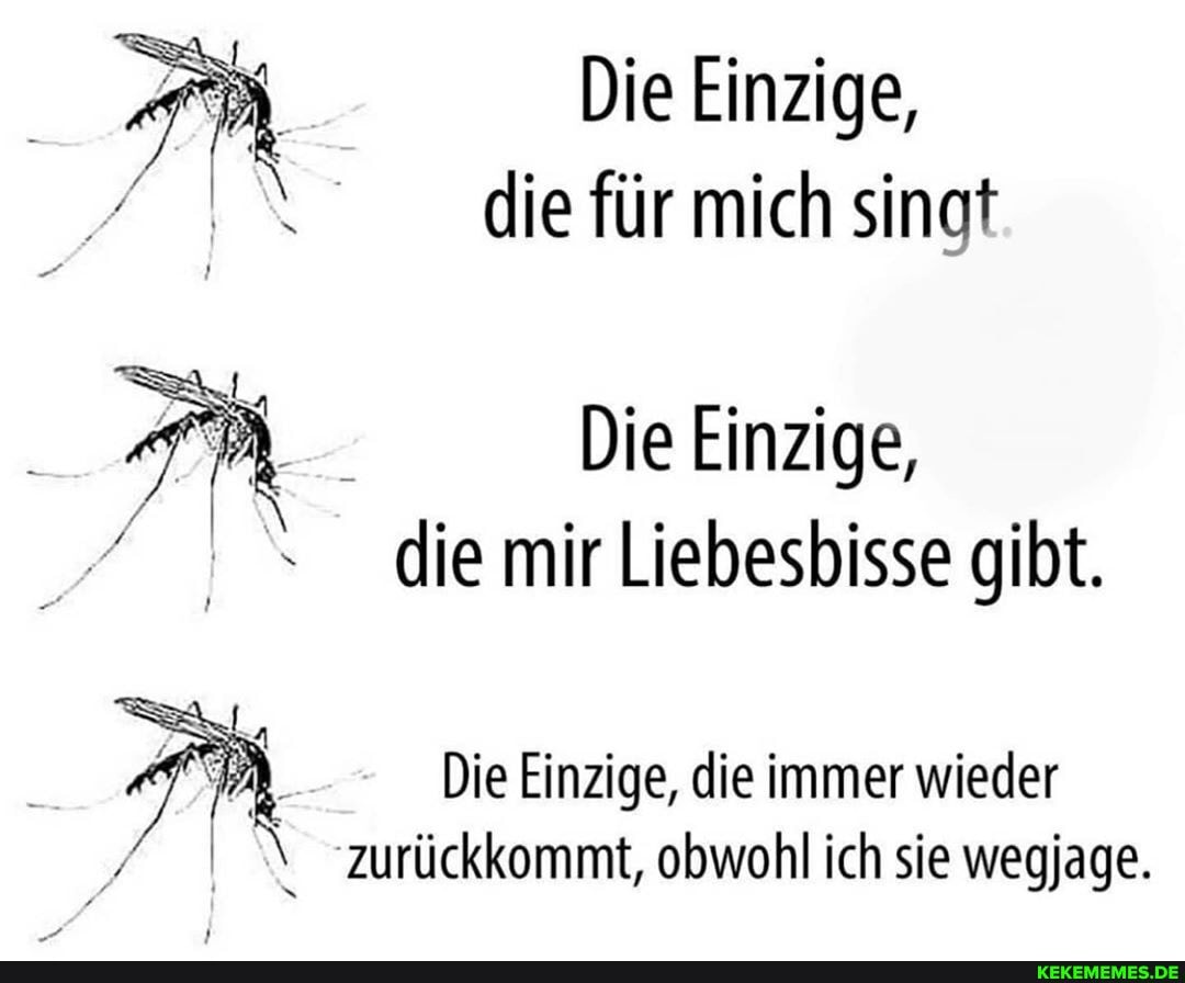 Die Einzige, die für mich singt
Die Einzige, die mir Liebesbisse gibt.
Die Einzige, die immer wieder
\ zurückkommt, obwohl ich sie wegjage.