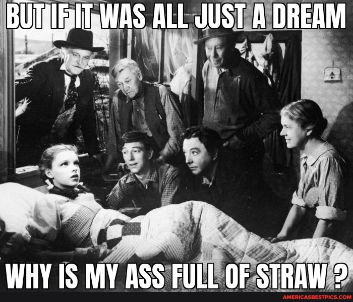 BUTSIFIT WAS ALL JUST A DREAM
WHY IS MY ASS FULL OF STRAW ?