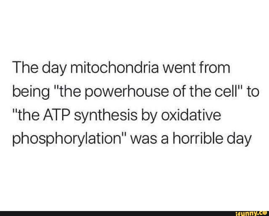 The day mitochondria went from being "the powerhouse of the cell" to