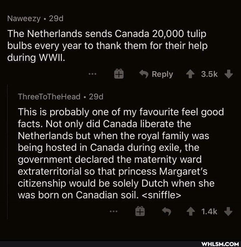 Naweezy
The Netherlands sends Canada 20,000 tulip bulbs every year to thank them for their help during WWII.
Reply 3.5k
ThreeToTheHead
This is probably one of my favourite feel good facts. Not only did Canada liberate the
Netherlands but when the royal family was being hosted in Canada during exile, the government declared the maternity ward extraterritorial so that princess Margaret's citizenship would be solely Dutch when she was born on Canadian soil. <sniffle>
1.4k
