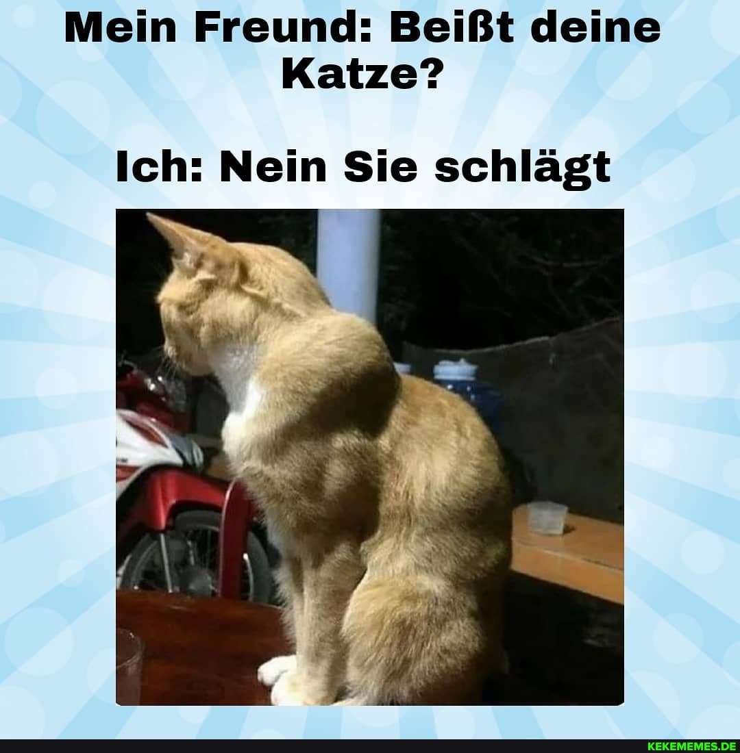 Mein Freund: Beißt deine
Katze?
Ich: Nein Sie schlägt