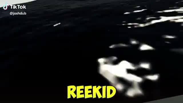 Reekid Memes Best Collection Of Funny Reekid Pictures On Ifunny