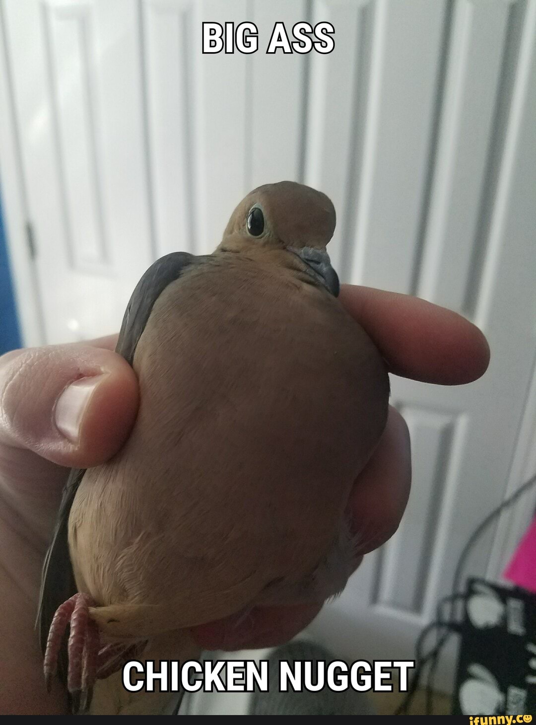 BIG ASS
CHICKEN NUGGET