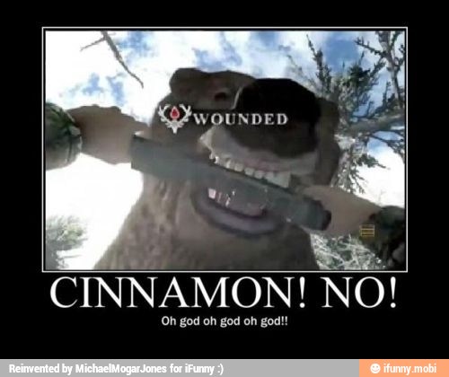 MN
CINNAMON! NO!