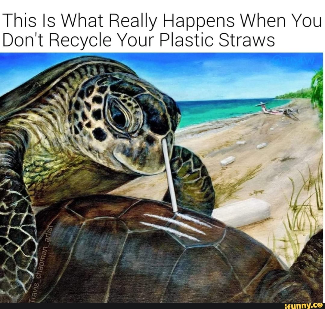 This Is What Really Happens When You Don't Recycle Your Plastic Straws - iFunny :)1080 x 1029