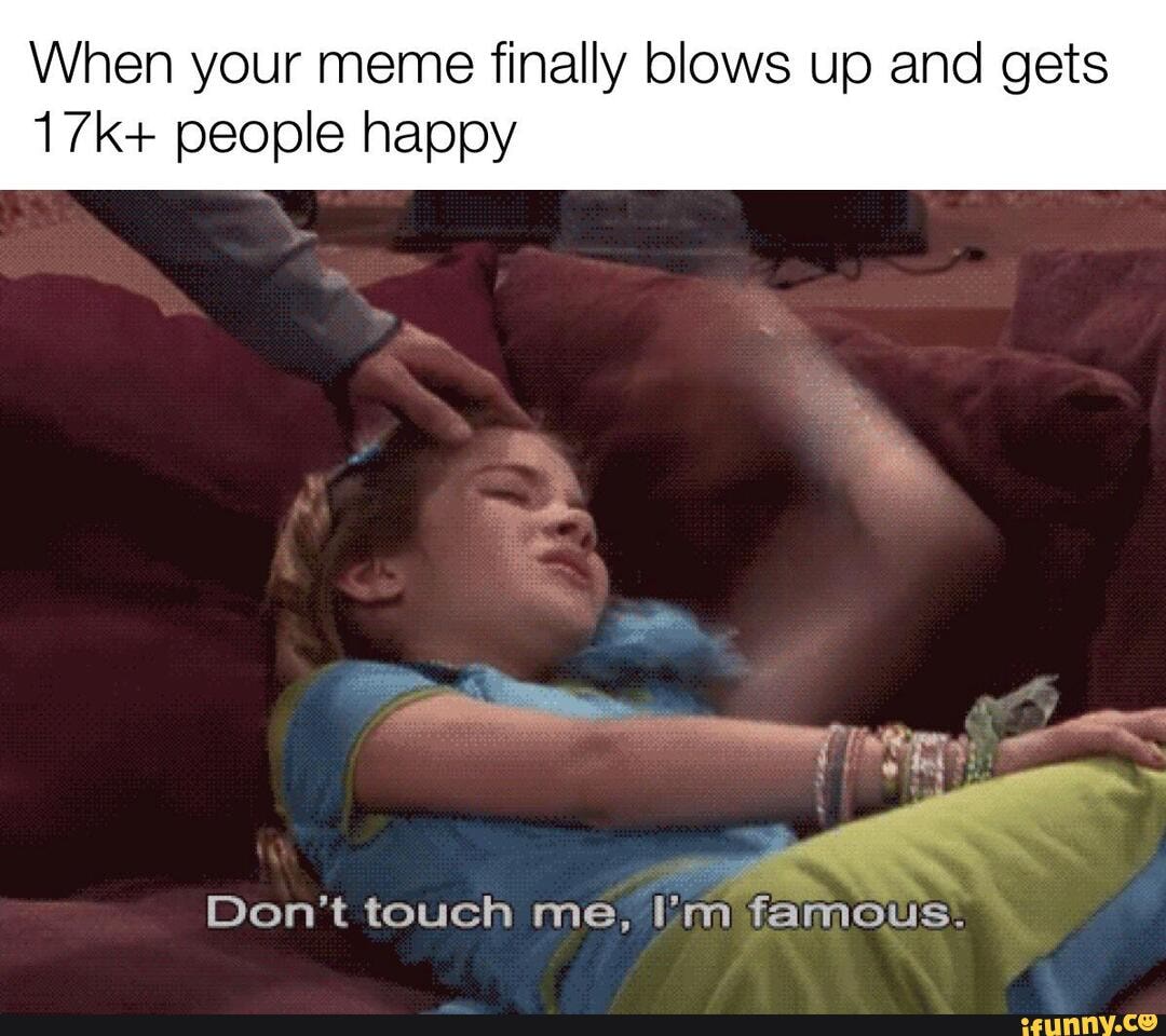 When your meme finally blows up and gets people happy
Don't touch me, I'm famous.
