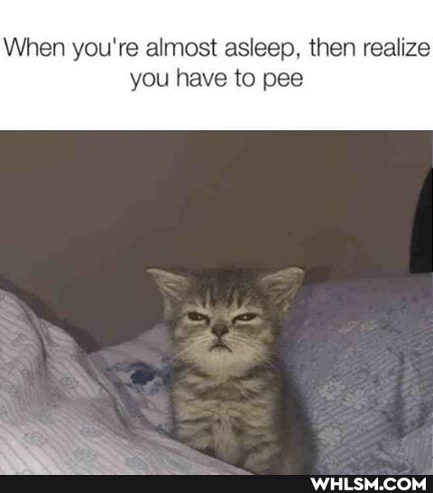When you're almost asleep, then realize
you have to pee