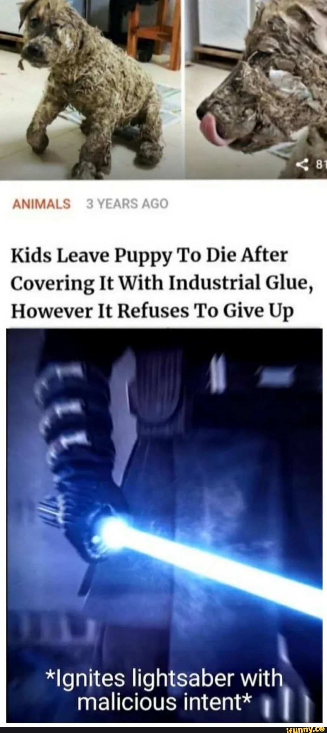 ANIMALS
Kids Leave Puppy To Die After
Covering It With Industrial Glue,
However It Refuses To Give Up
*Ignites lightsaber with malicious intent*