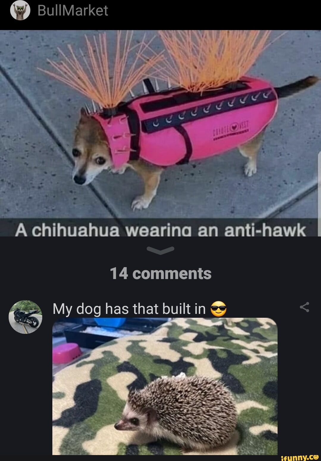 anti hawk dog vest meme