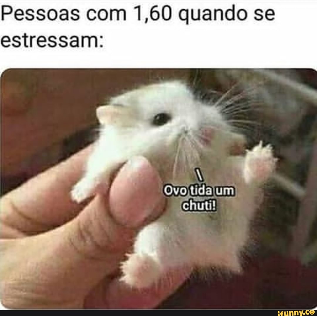 Pessoas com 1,60 quando se
estressam: