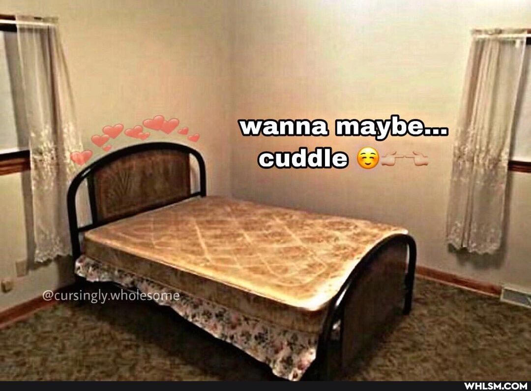 wanna maybe...
cuddle ~
@cur