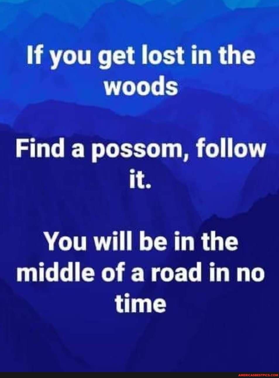 If you get lost in the woods
Find a possom, follow it.
You will be in the middle of a road in no time