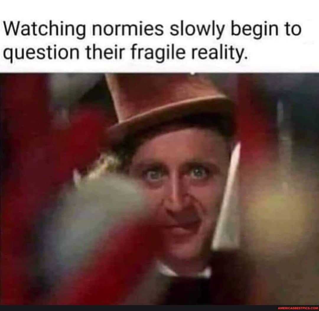 Watching normies slowly begin to
question their fragile reality.