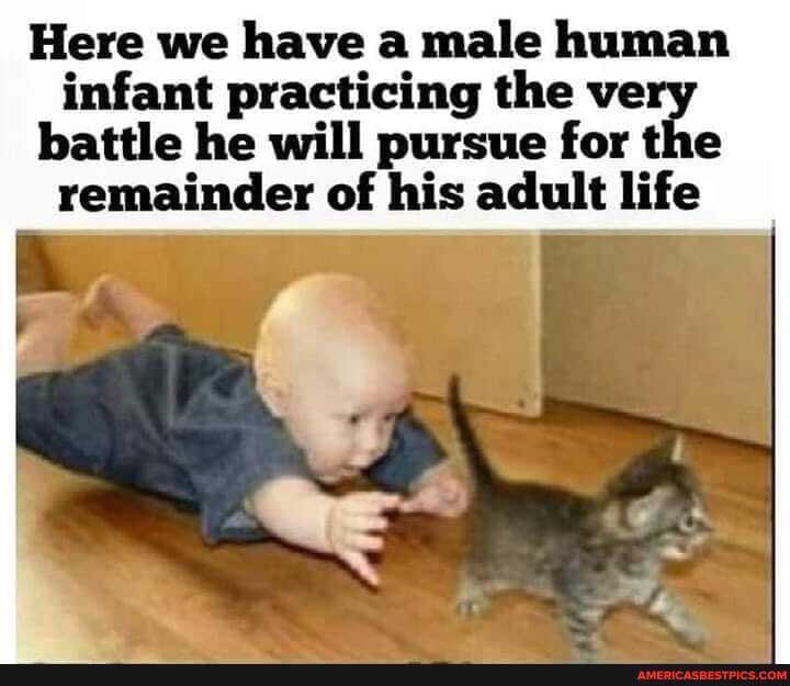 Here we have a male human infant practicing the ve
battle he will pursue for the remainder of his adult life