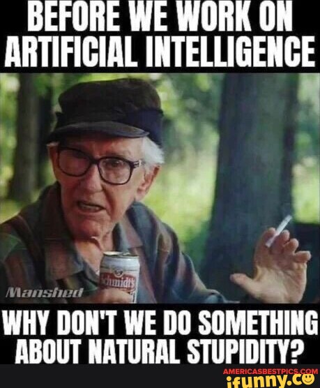 BEFORE WE WORK ON ARTIFICIAL INTELLIGENCE WHY DON'T WE DO SOMETHING ABOUT  NATURAL STUPIDITY? - iFunny