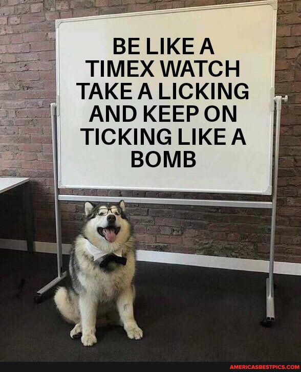 BE LIKEA TIMEX WATCH TAKE A LICKING AND KEEP ON TICKING LIKE A BOMB