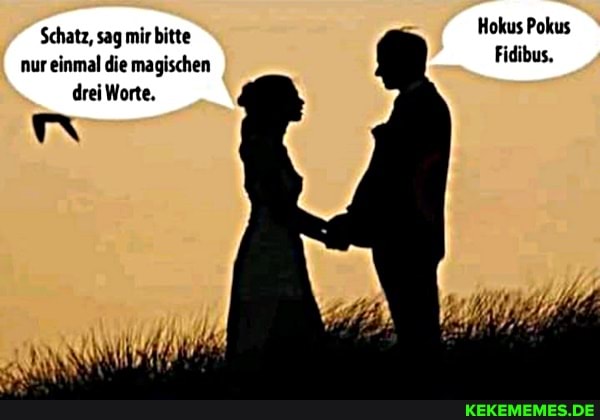 Hokus Pokus
Schatz, sag mir bitte
Fidibus.
nur einmal die magischen drei Worte,