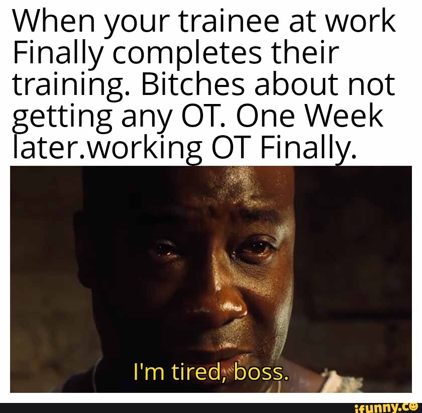 Trainee memes. Best Collection of funny Trainee pictures on iFunny