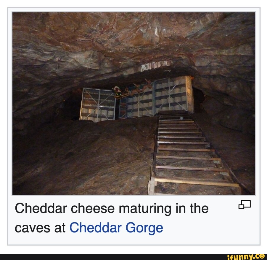 Cheddar cheese maturing in the caves at Cheddar iFunny