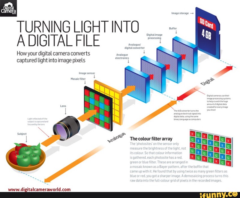 TURNING LIGHT INTO A DIGITAL FILE How your digital camera converts