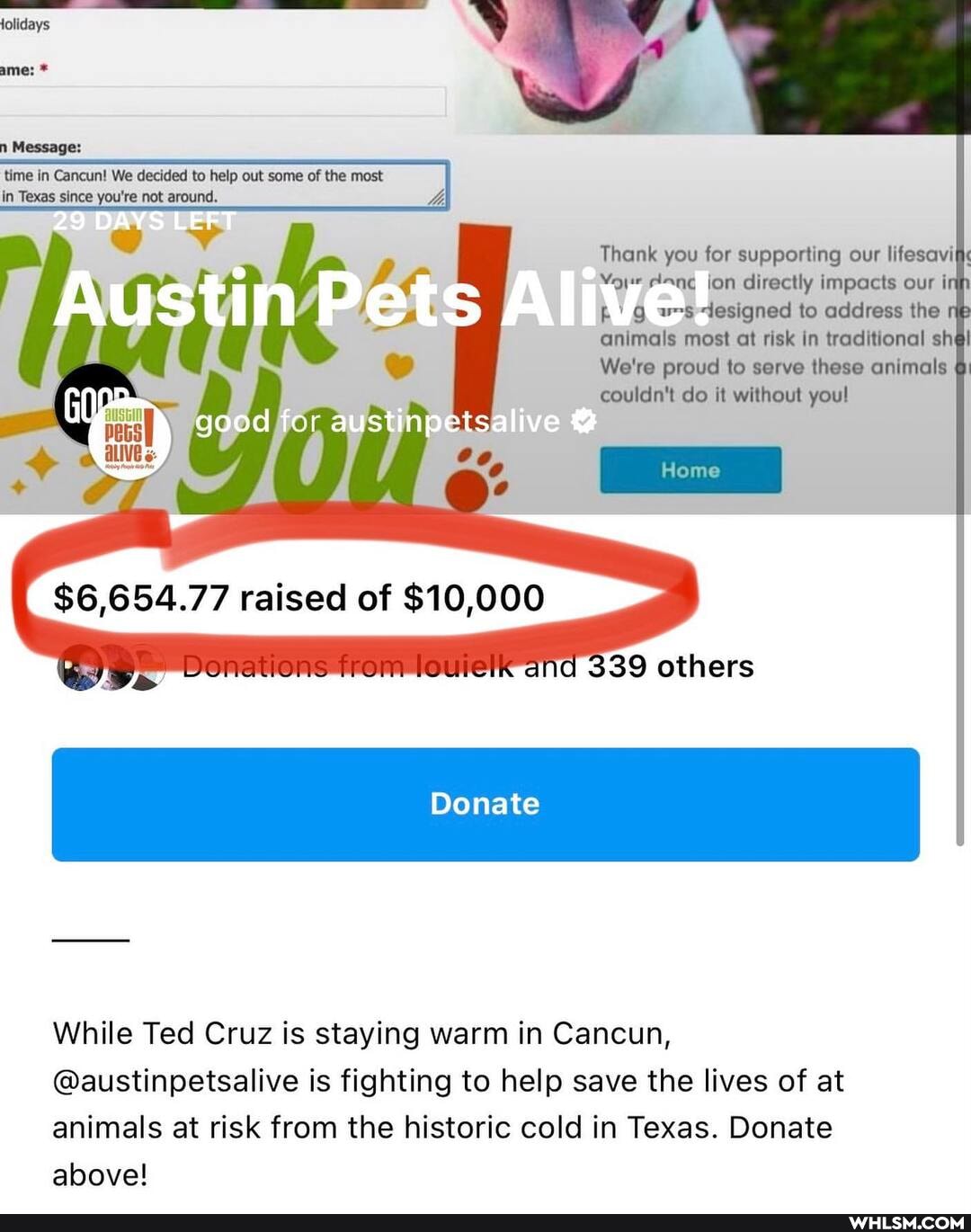 lolidays
n Message:
time in Cancun! We decided to help out some of the most in Texas since you're not around.
29 DAYS LEFT
good foi ft ive
$6,654.77 raised of $10,000
Thank you for supporting our lifesavifi jon directly impacts our i
ws designed to address the animals most at risk in traditional sh
We're proud to serve these animals couldn't do it without you!
and 39 others
Donate
While Ted Cruz is staying warm in Cancun,
@austinpetsalive is fighting to help save the lives of at animals at risk from the historic cold in Texas. Donate above!