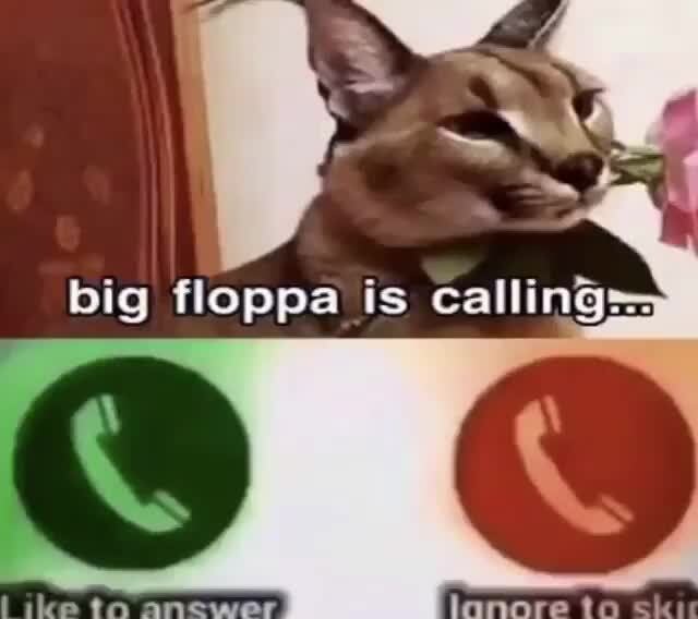 Big floppa is calling. : r/memes