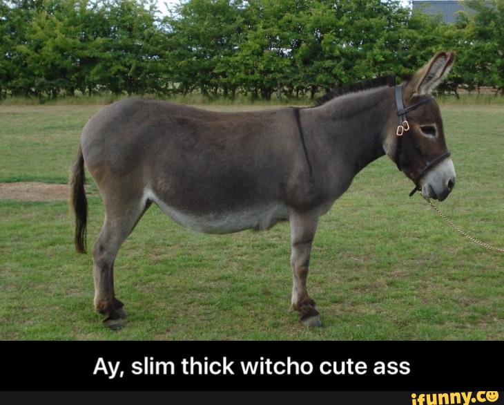 Slim thick with that cute ass