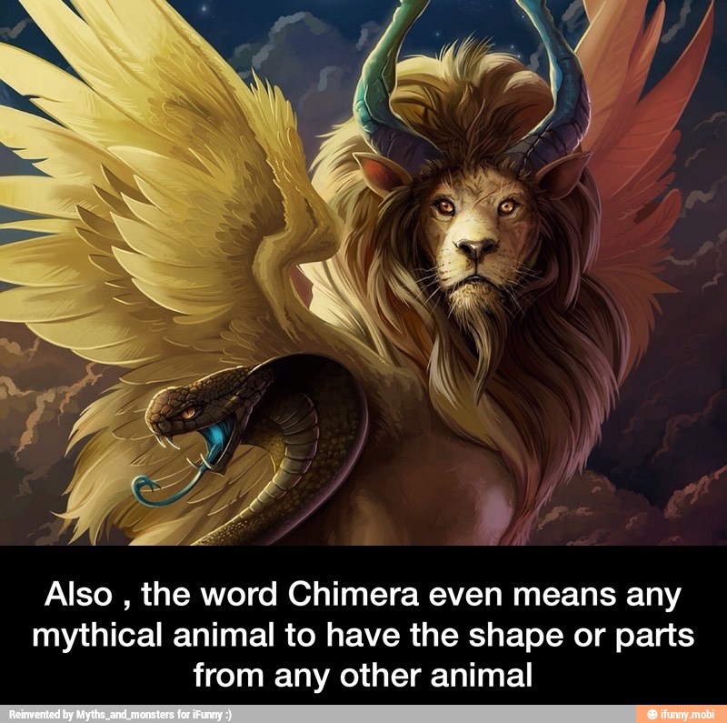 Also the word Chimera even means any mythical animal to have the shape