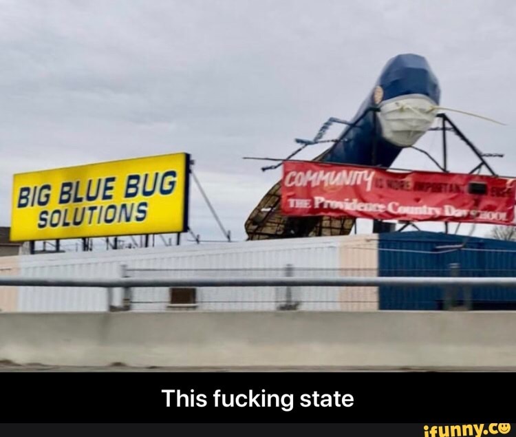 state This fucking - This fucking state
