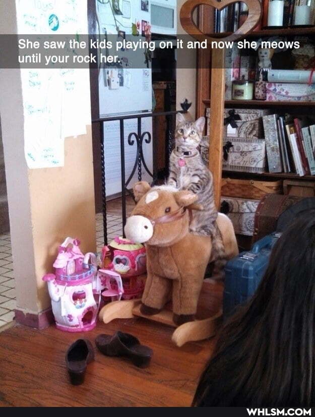 She saw the kids playing on it and now she meows
until your reck her.