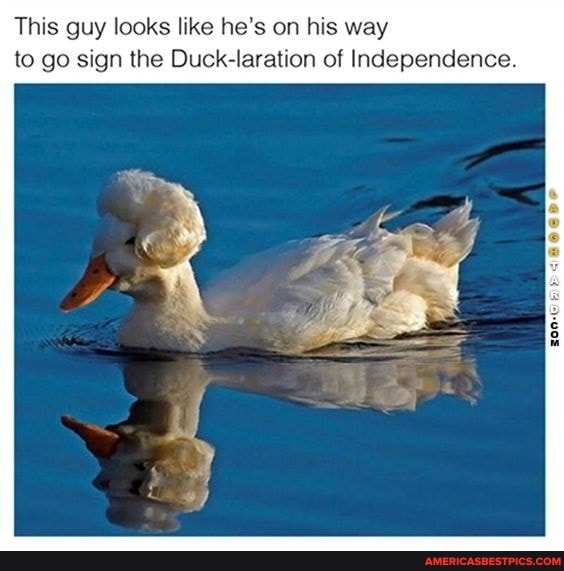 This guy looks like he's on his way to go sign the Duck-laration of Independence.