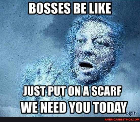 BOSSES BE LIKE
JUST PUT ON A SCARF WE NEED VON TONAY