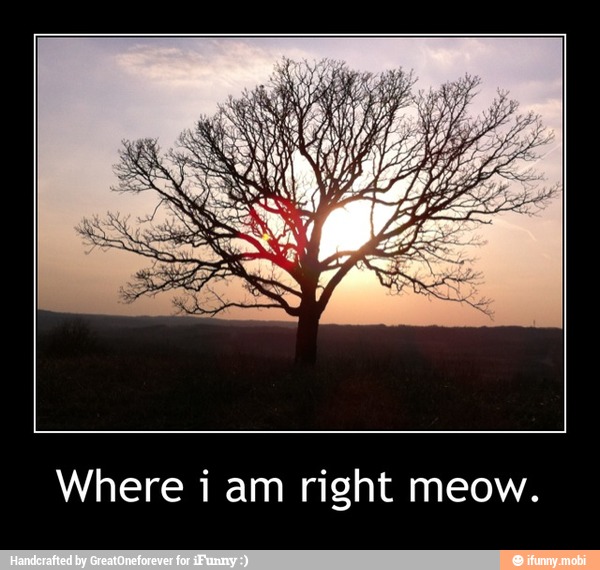 Where i am right meow. - Where i am right meow.