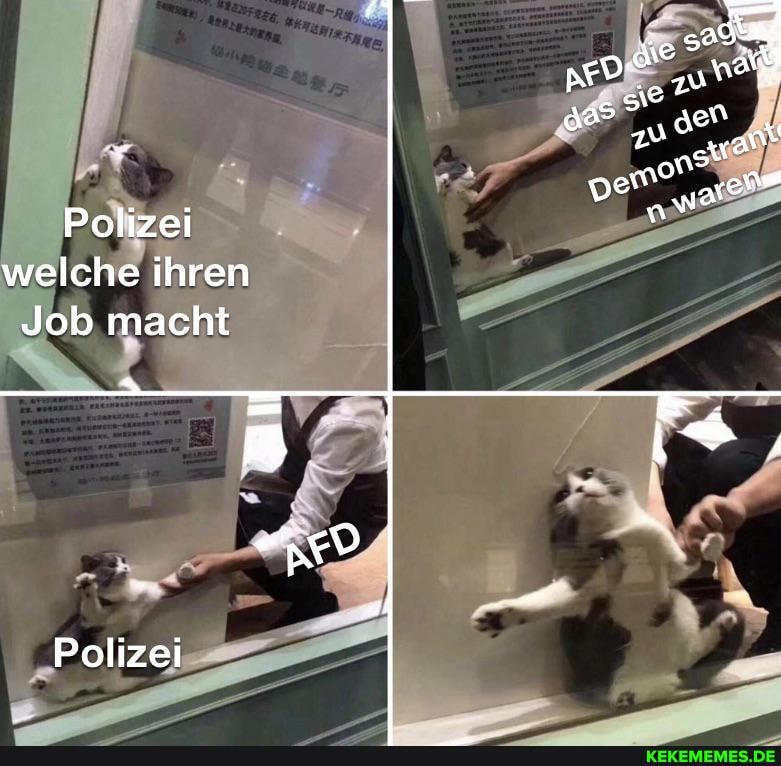 vew en"
Polizei welche ihren
Job macht
Polizei